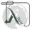 Avani Digital Marketer
